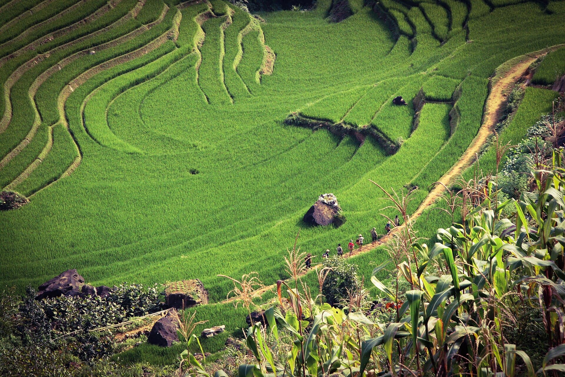 Phiêu lưu
